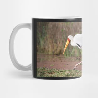 Yellow-billed Stork Feeding Mug